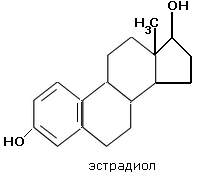эстрадиол