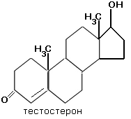 тестостерон